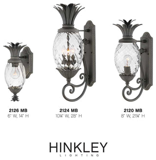 Hinkley Plantation Large Wall Mount Lantern, Museum Black