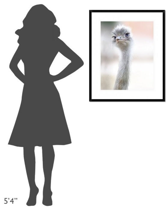 "Natural Beauty" Framed Digital Print by Fulvio Pellegrini, 26"x32"