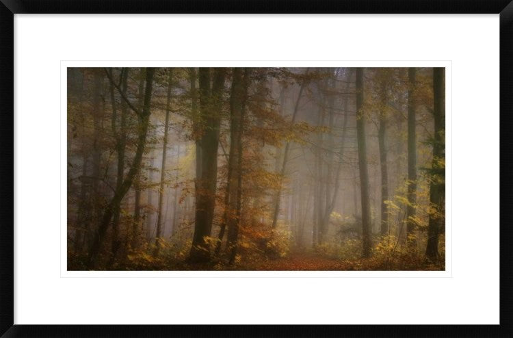 "My November" Framed Digital Print by Norbert Maier, 30"x19"