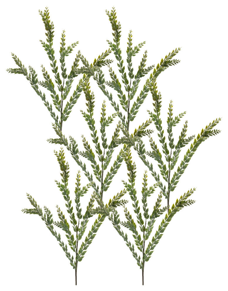 Knife Blade Eucalyptus Spray, Set of 6