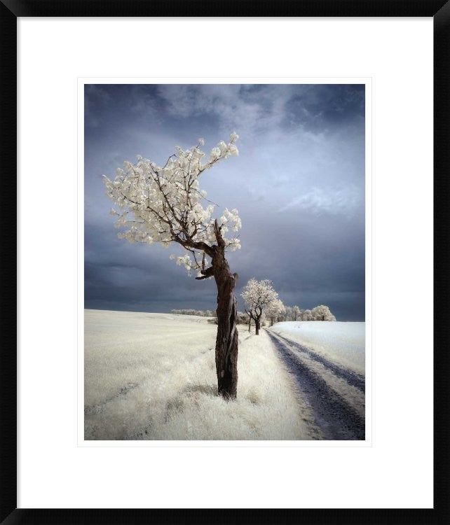 "Irenka" Framed Digital Print by Piotr (Bax) Krol, 20"x24"