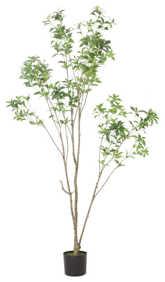 Purling Artificial Pieris Tree, Green, 39.4 Wx39.4 Dx82.7 H