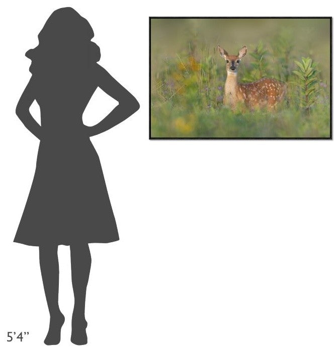 "Fragrance Of Summer" Framed Canvas Giclee by Nick Kalathas, 37x25"