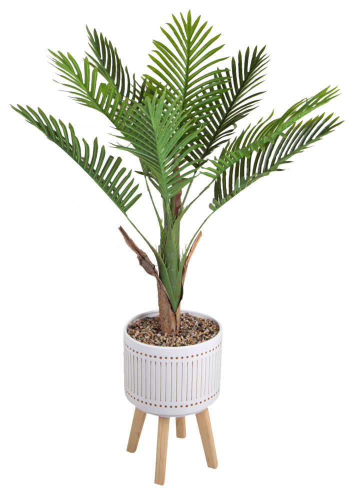 Areca Palm 4 Foot Planter on Wood Stand