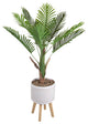 Areca Palm 4 Foot Planter on Wood Stand