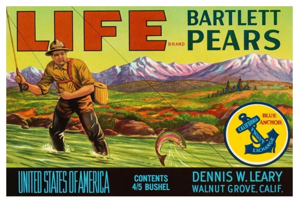"Life Brand Bartlett Pears" Digital Paper Print by Retrolabel, 24"x17"