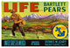 "Life Brand Bartlett Pears" Digital Paper Print by Retrolabel, 24"x17"