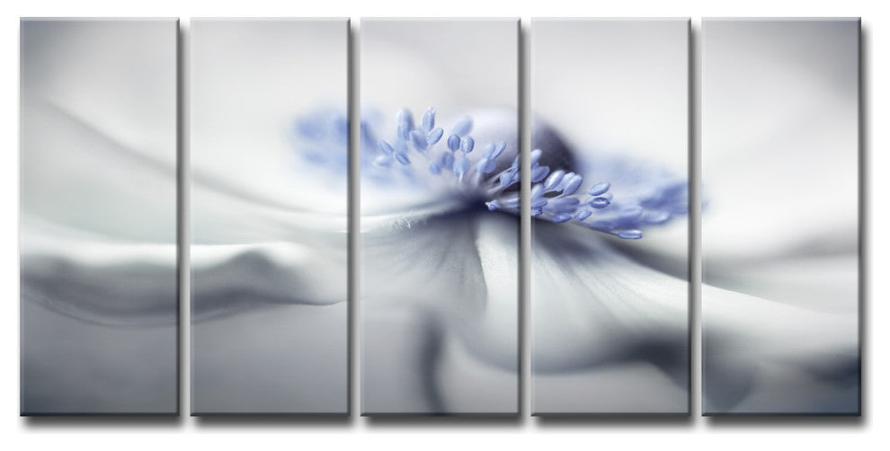 Ready2HangArt 'Anemone Spirit' 5-Piece Canvas Wall Decor Set