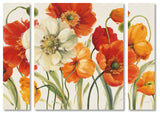 Lisa Audit 'Poppies Melody I' Multi Panel Art Set,, 41"x30"