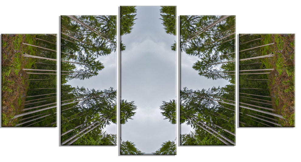 Circle Composition of Coniferous Trees, Landscape Canvas Art, 60"x32", 5 Panels