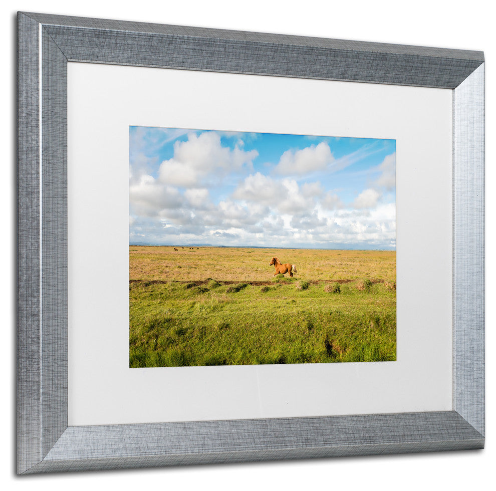 Philippe Sainte-Laudy 'Free as a Horse' Matted Framed Art