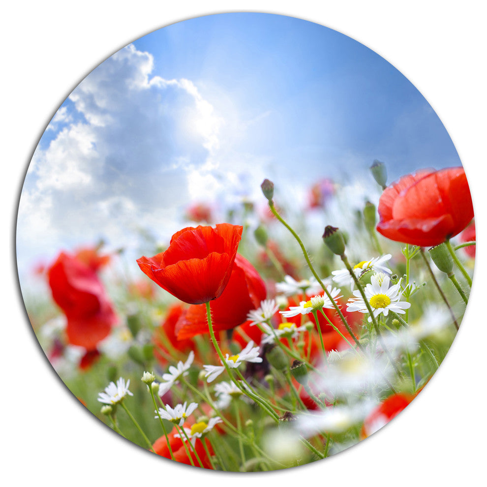 Lovely Red Poppies On Sky Background, Floral Disc Metal Wall Art, 11"