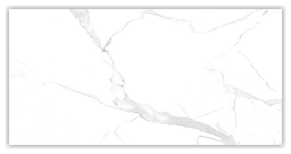 Statuario Matte 12x24 Porcelain Tile