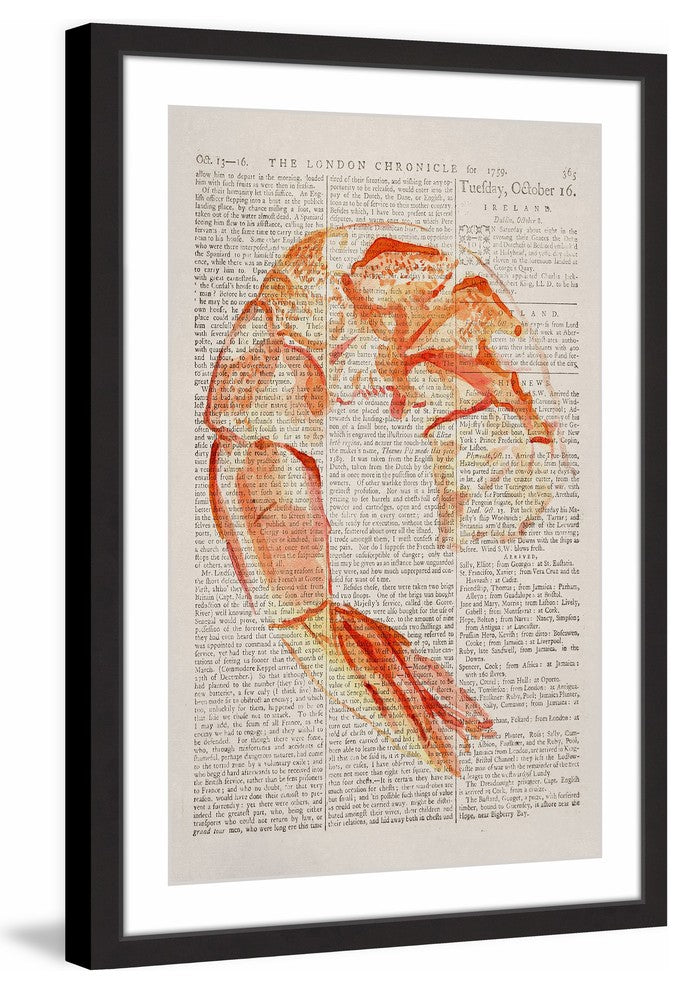 "Historical Crevette" Framed Painting Print, 30"x45"