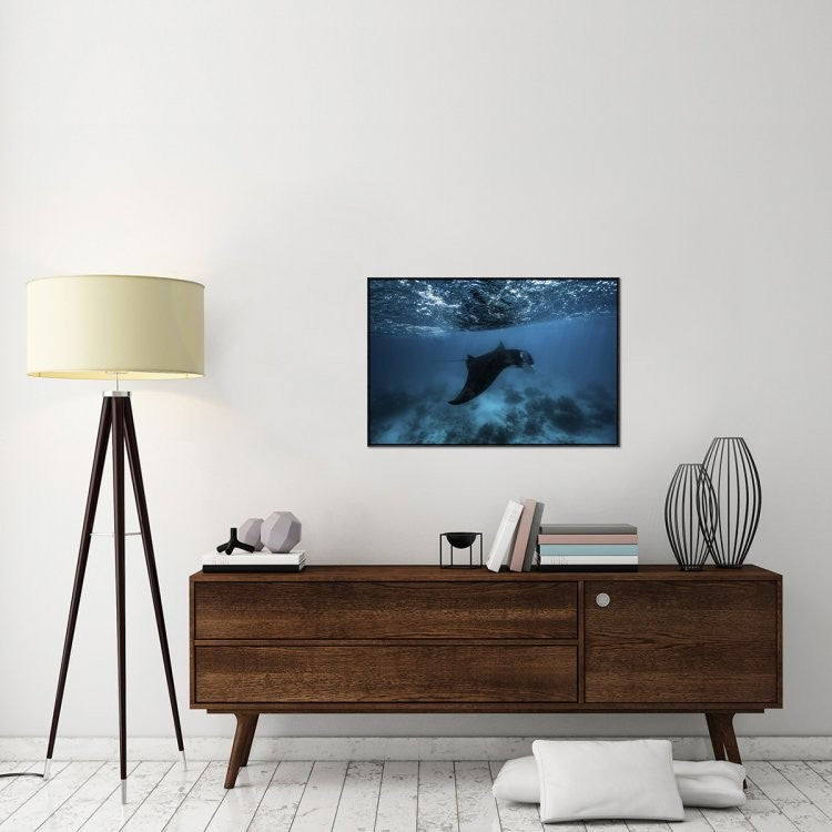 Manta Ray, 36"x24"