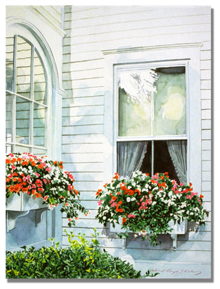 'Window Boxes' Canvas Art by David Lloyd Glover