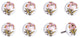 Knob-It Knobs, Set of 8