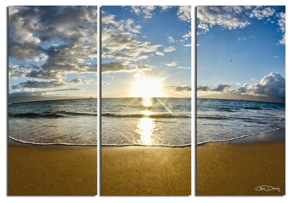 Ready2HangArt Christopher Doherty 'Maui' Canvas Wall Art (3 Piece)