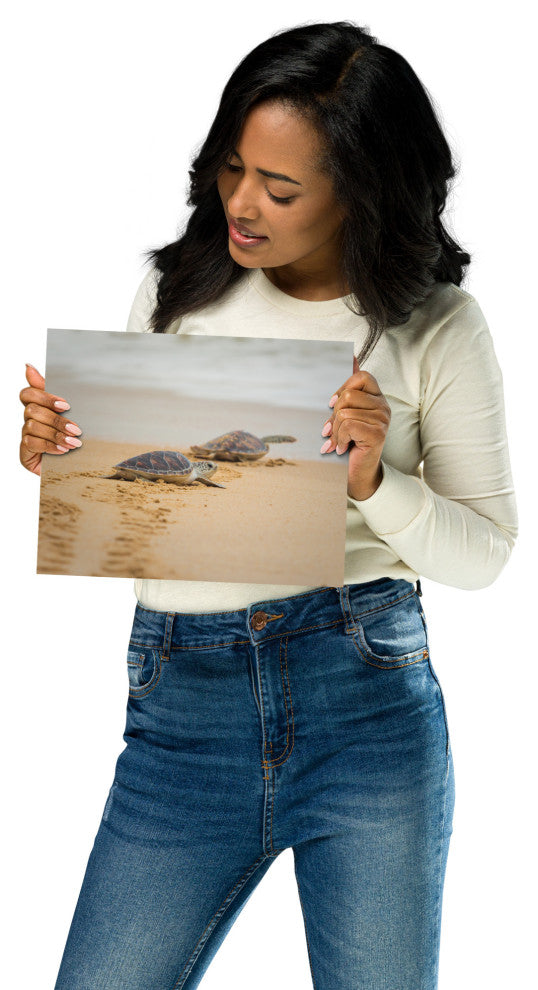 Baby Hawksbill Sea Turtle On The Beach Animal Wildlife Loose Wall Art Print, 8" X 10"
