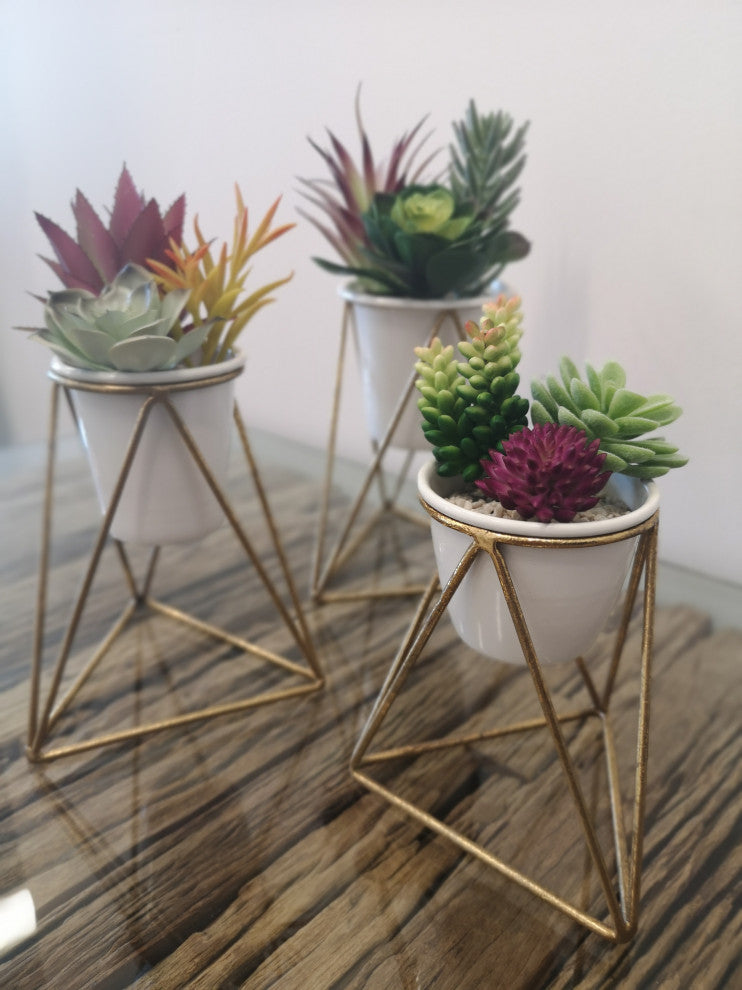 3-Piece Viola Table Top Planter Set