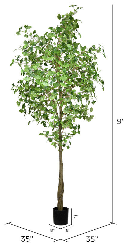 9' Potted Ginko Tree 1491 Leaves