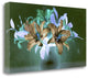 "Floral Color - 20" By Alan Blaustein, Giclee Print on Gallery Wrap Canvas