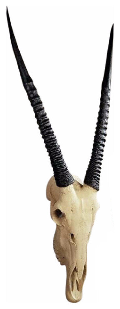 Gemsbok Wall Trophy