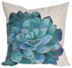 Visions IV Succulent Indoor/Outdoor Pillow Cream 20"x20"