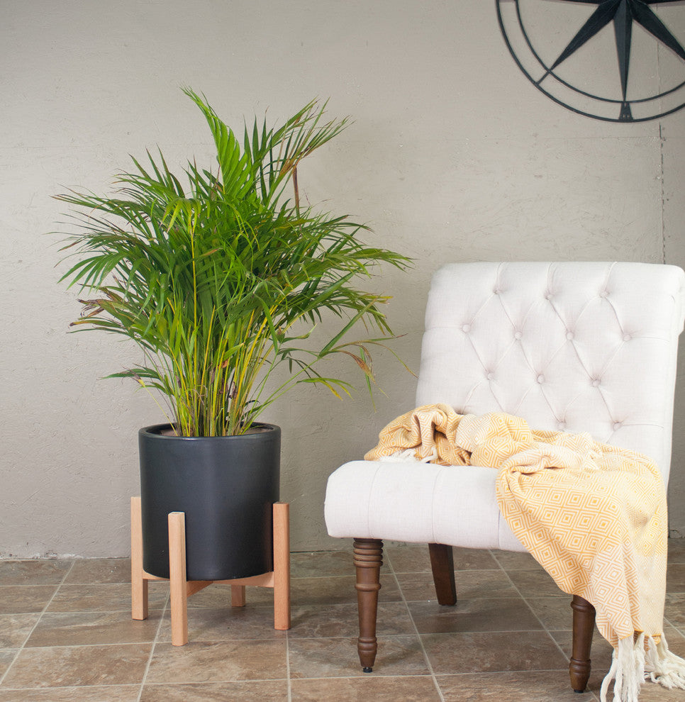 Extra Large Ceramic Cylinder Pot 13'' Black With Plant Stand Set Natural Color