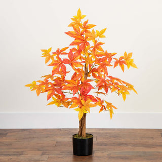 Shown in a real room setting; full tree visible; background not a pure white backdrop.