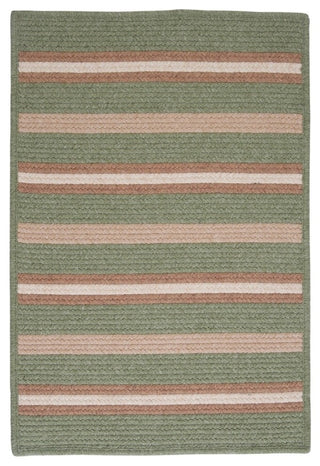 Colonial Mills Salisbury LY69 Palm Contemporary Area Rug, Rectangular 8'x11'