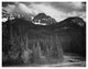 "Streamside trees, Northeast, Yellowstone NP, 1941-1942" Paper Art, 24"x19"