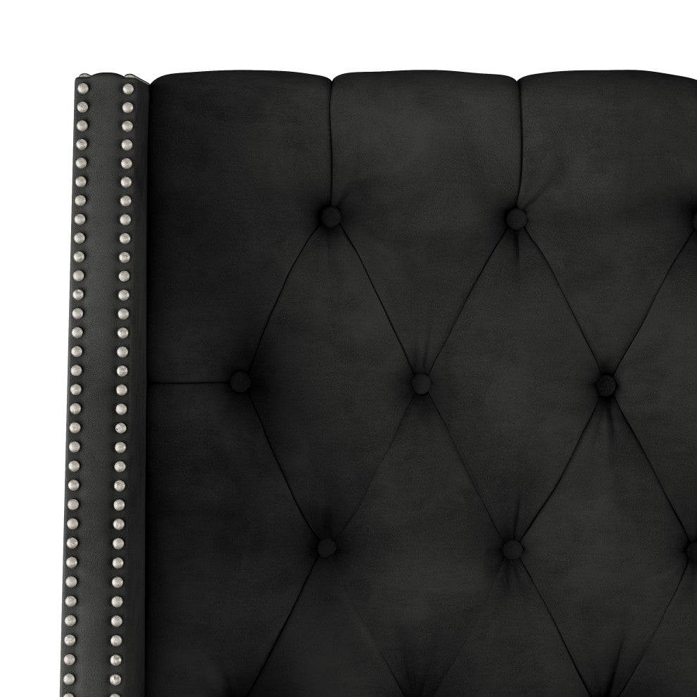 Williams California King Nail Button Tufted Wingback, Velvet Black