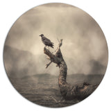 Crow Perching On Tree, Animal Round Metal Wall Art, 23"