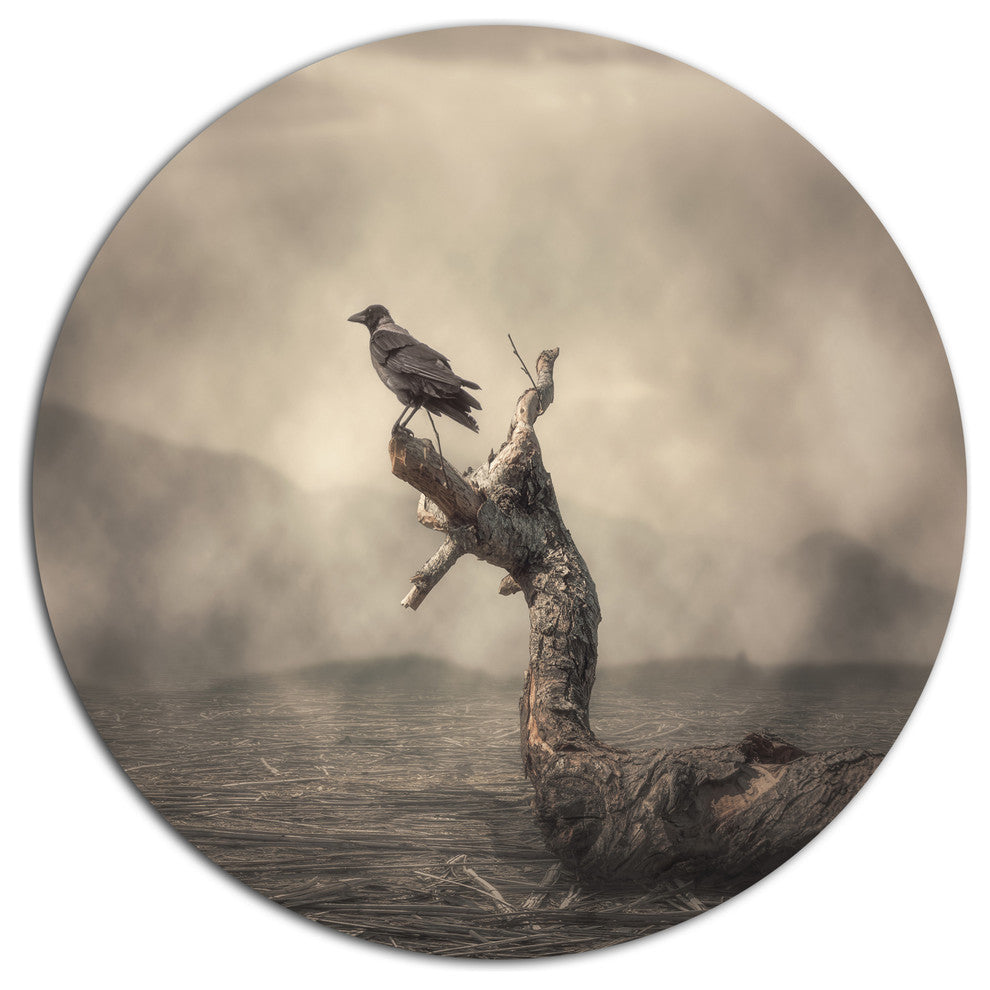 Crow Perching On Tree, Animal Round Metal Wall Art, 23"