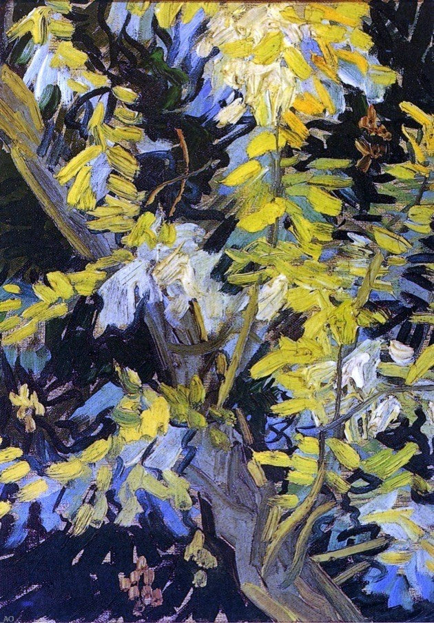 Vincent Van Gogh Blossoming Acacia Branches, Gallery Wrapped Canvas, 18"x27"