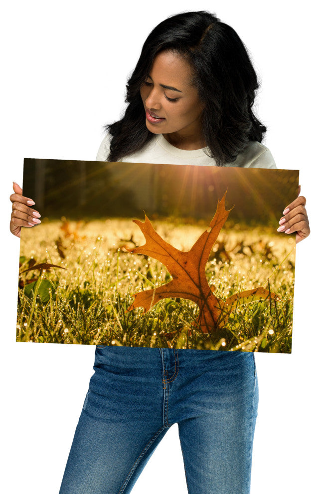 Fall Leaf in Morning Sun - Autumn Nature Photograph Unframed Wall Art Print, 12" X 18"