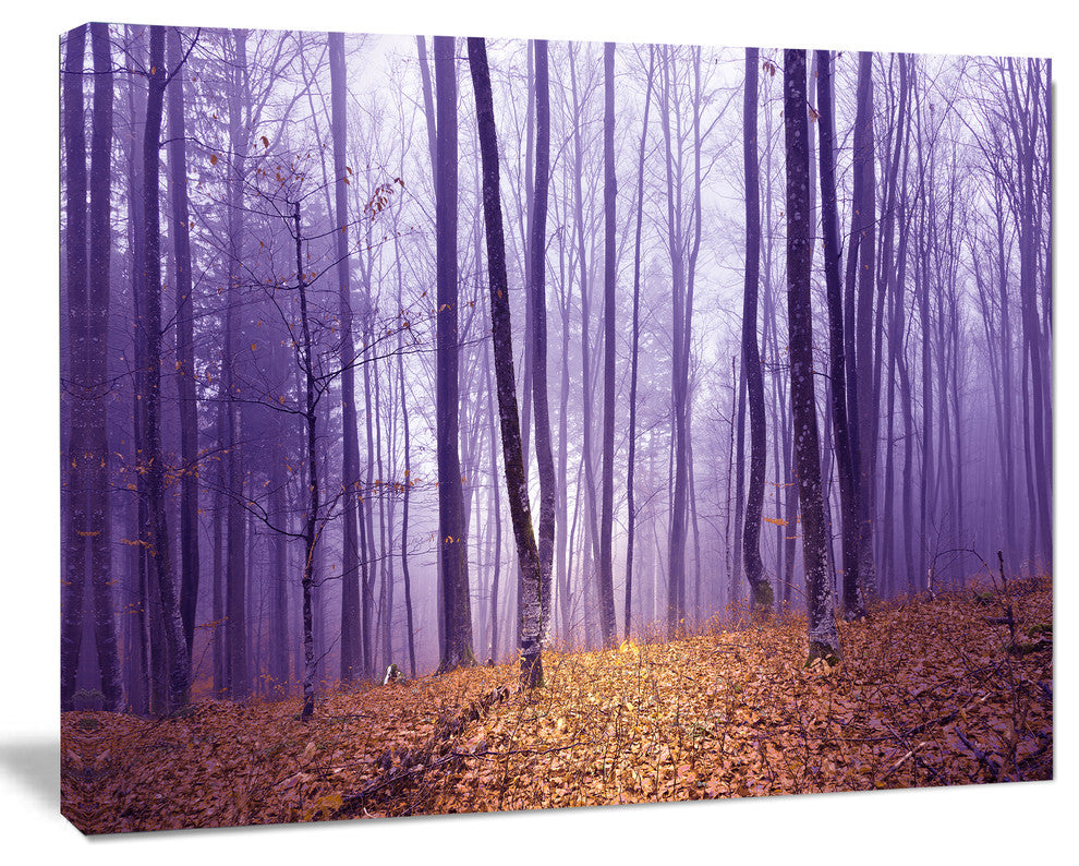 Magenta Foggy Fairytale Forest, Forest Canvas Art Print, 20"x12"