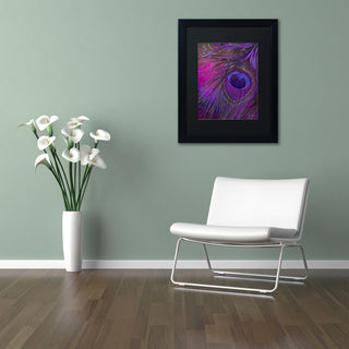Color Bakery 'Peacock Candy IV' Art, Black Frame, Black Matte, 11"x14"