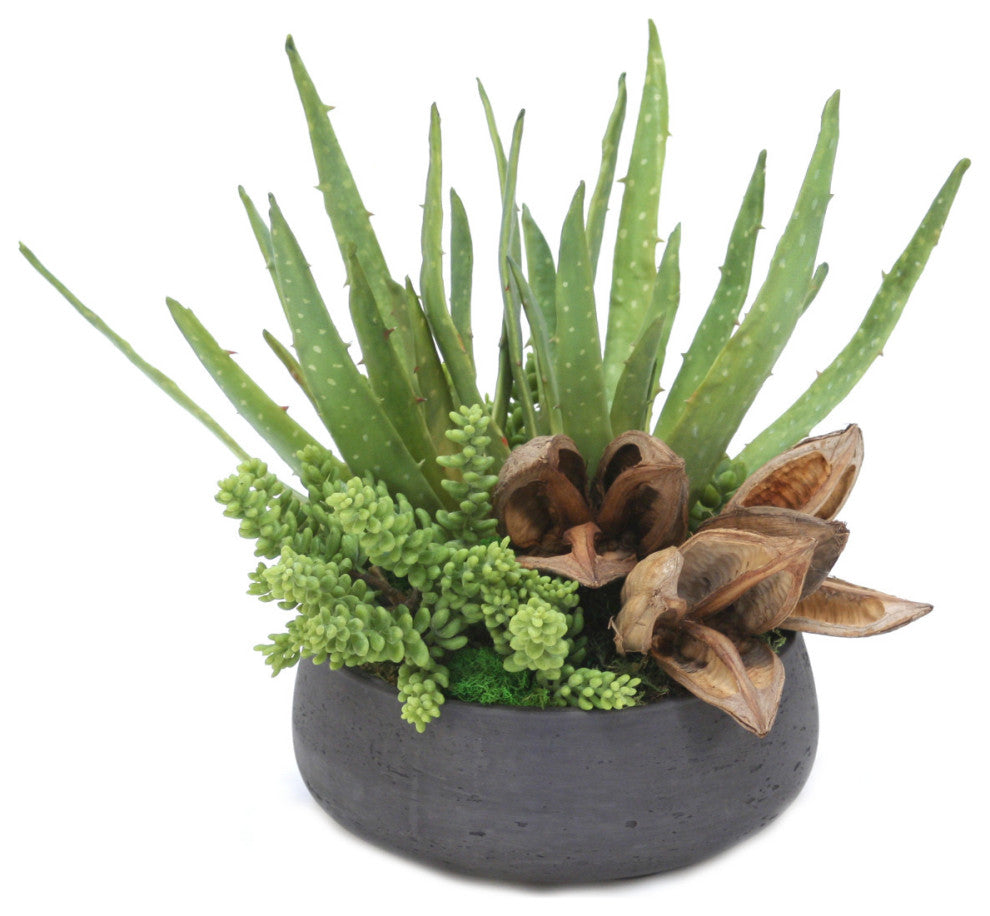 Succulent Mix in Rough Stone Black Bowl