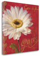 "Paris Blossom I" By Danhui Nai, Giclee Print on Gallery Wrap Canvas
