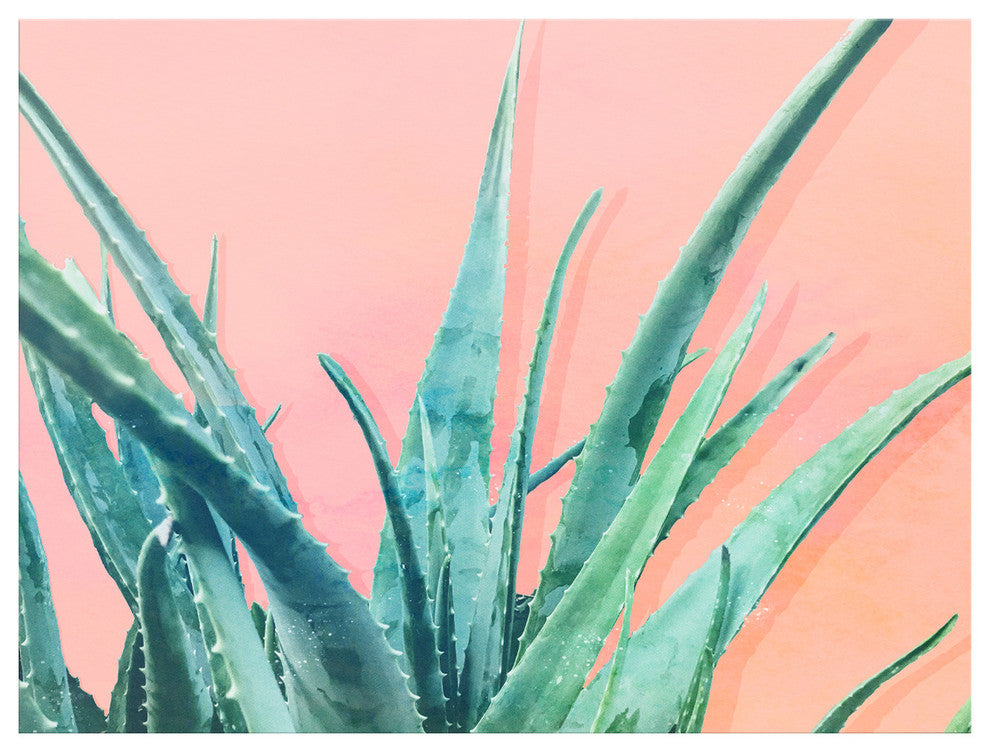 Ready2HangArt 'Aloe Need' Wrapped Canvas Succulent Wall Art, 20"x30"