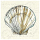 "Coastal Breeze VII" Digital Paper Print by Anne Tavoletti, 42"x42"