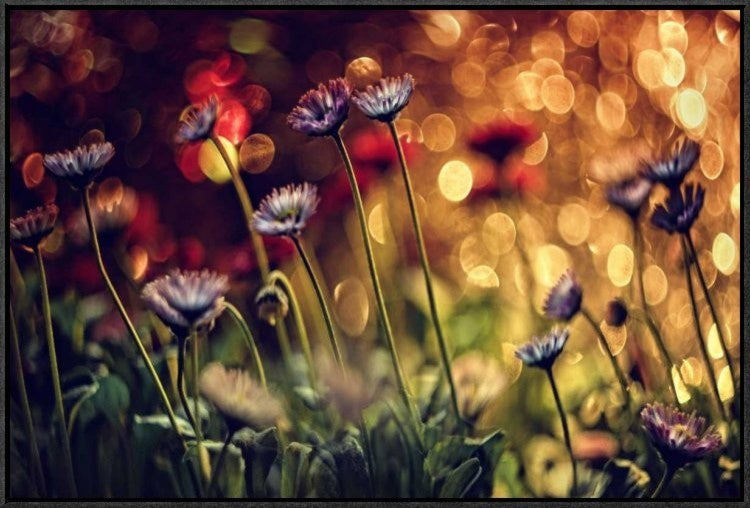 "Untitled" Framed Canvas Giclee by Dimitar Lazarov, 31x21"