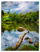 "Boyana Lake in Sofia Bulgaria" Metal Wall Art, 3 Panels, 28"x36"
