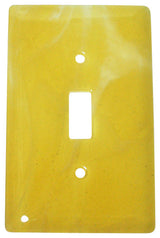 Wall Plate Switch
