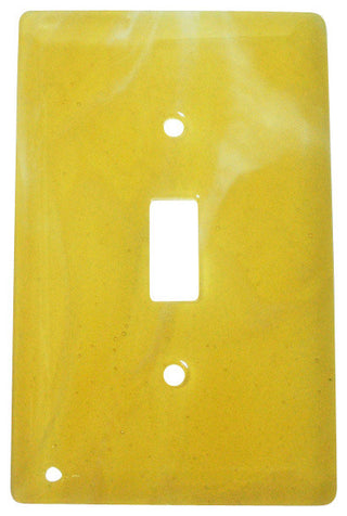 Wall Plate Switch