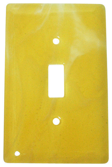 Wall Plate Switch