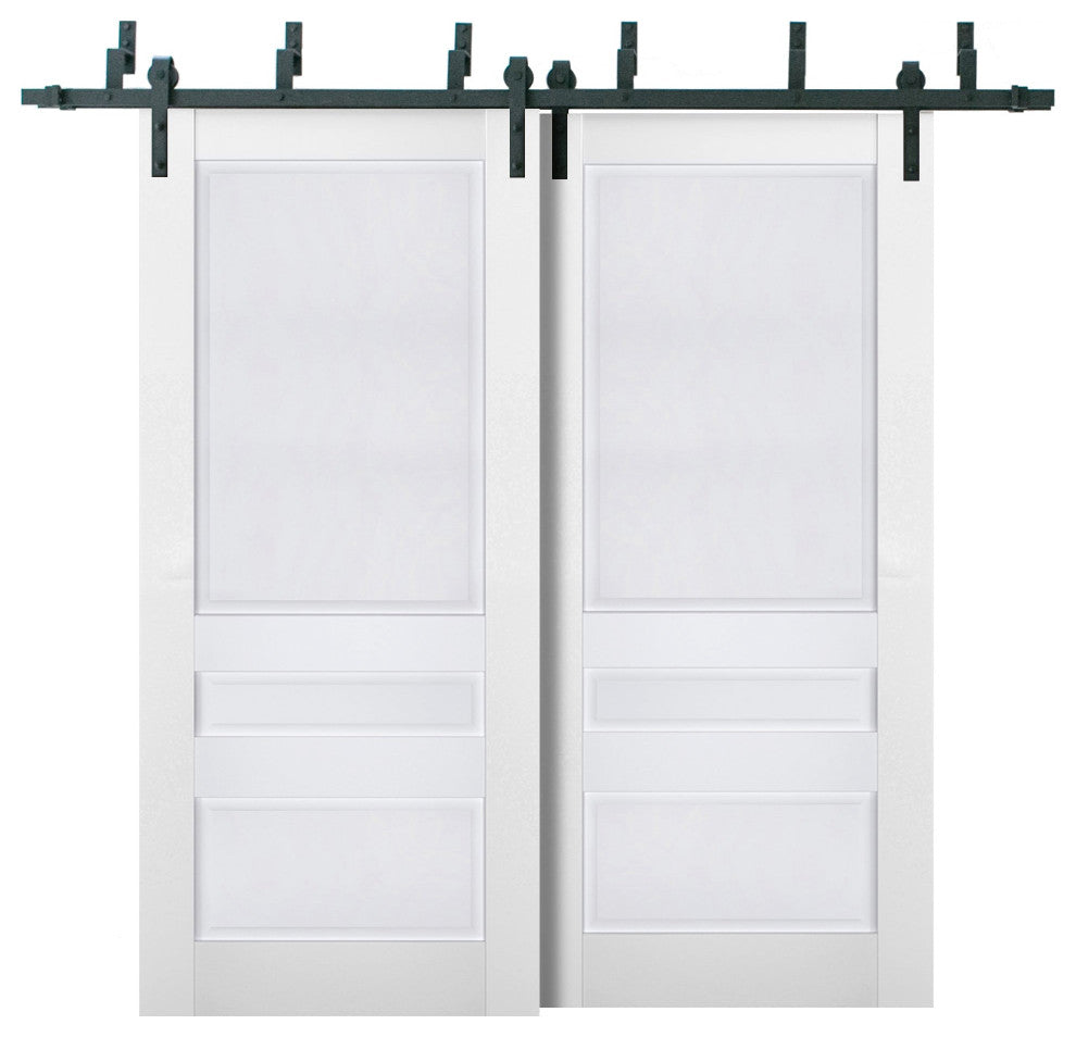 Barn Bypass Doors 84 x 80, Veregio 7411 White, 8' Rails