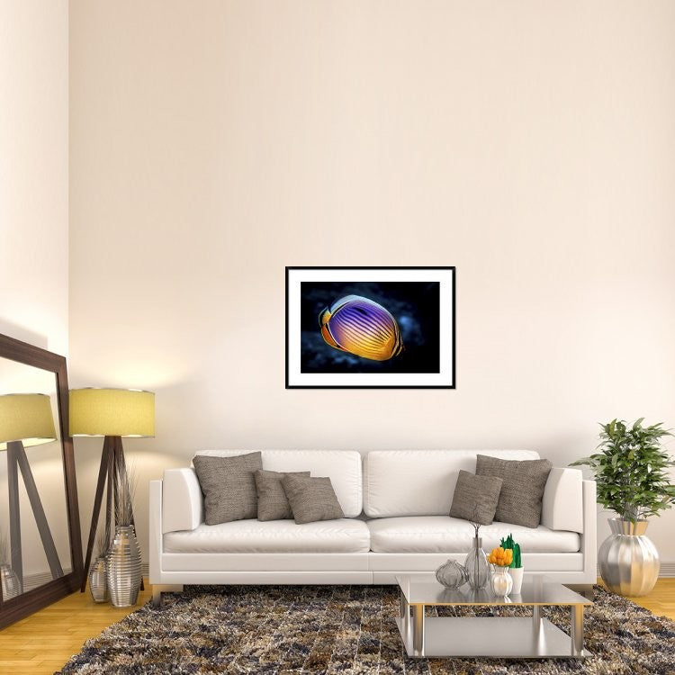 "Butterflyfish" Framed Digital Print by Barathieu Gabriel, 44x32"
